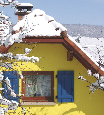 Neige fraiche au verger - au fond, le vignoble de Mutzig sous la neige - le 5 mars 06